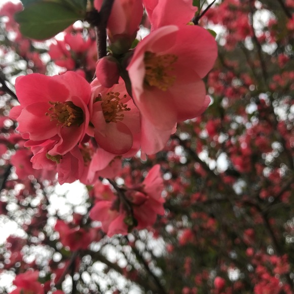 sam_may04